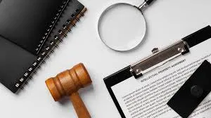 Intellectual Property Rights